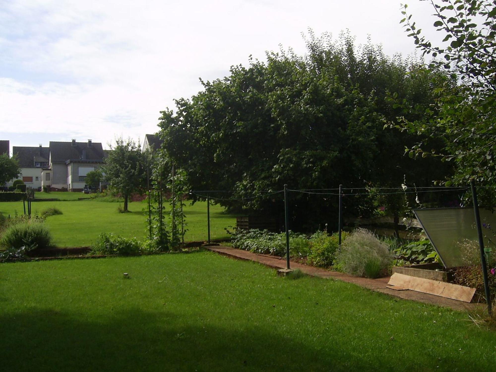 Eifelferienhaus Thome Lissendorf Bagian luar foto